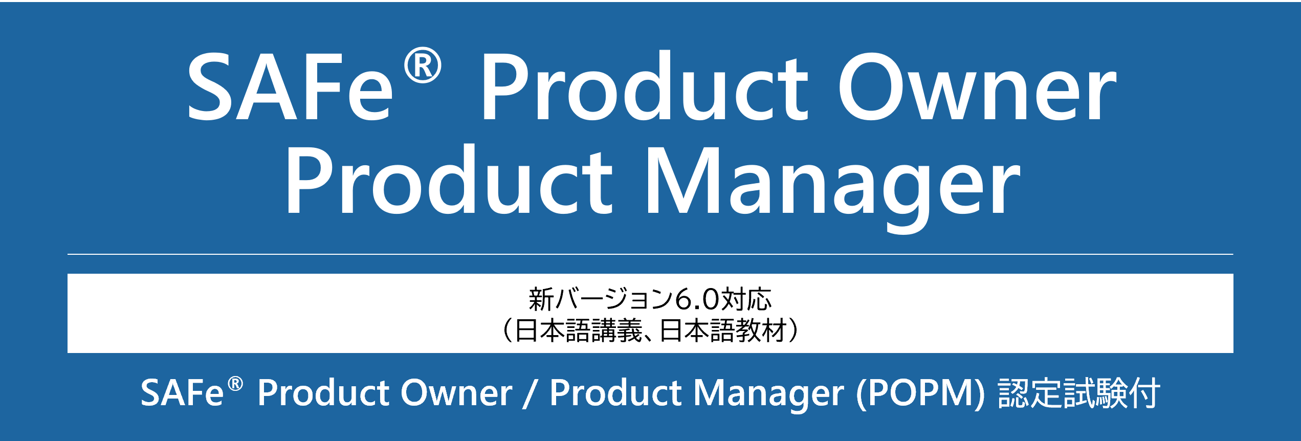 SAFe Product Owner / Product Manager
